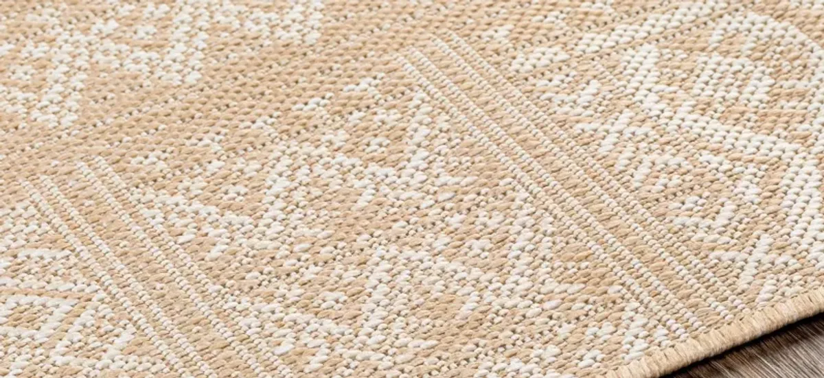 Malibu Ventura Indoor/Outdoor Area Rug