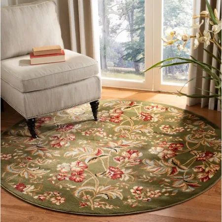 Weymouth Area Rug Round in Sage by Safavieh