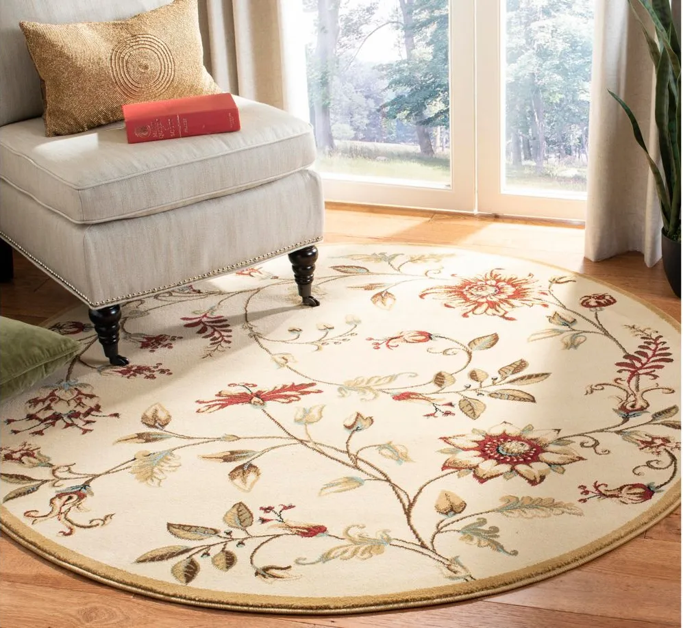 Abernethy Area Rug in Ivory / Multi by Safavieh