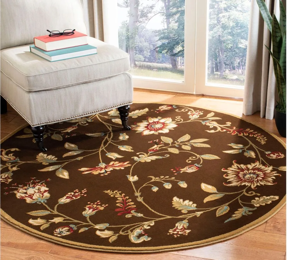 Abernethy Area Rug in Brown / Multi by Safavieh