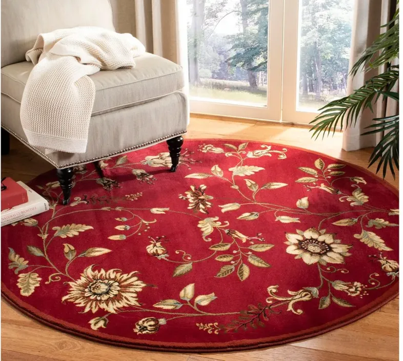 Abernethy Area Rug in Red / Multi by Safavieh