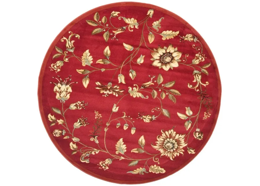 Abernethy Area Rug in Red / Multi by Safavieh