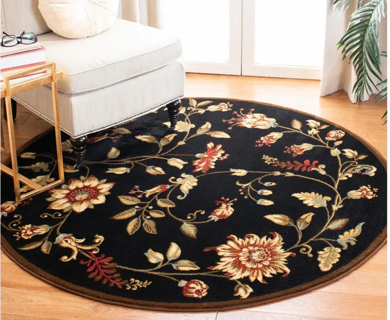 Abernethy Area Rug in Black / Multi by Safavieh