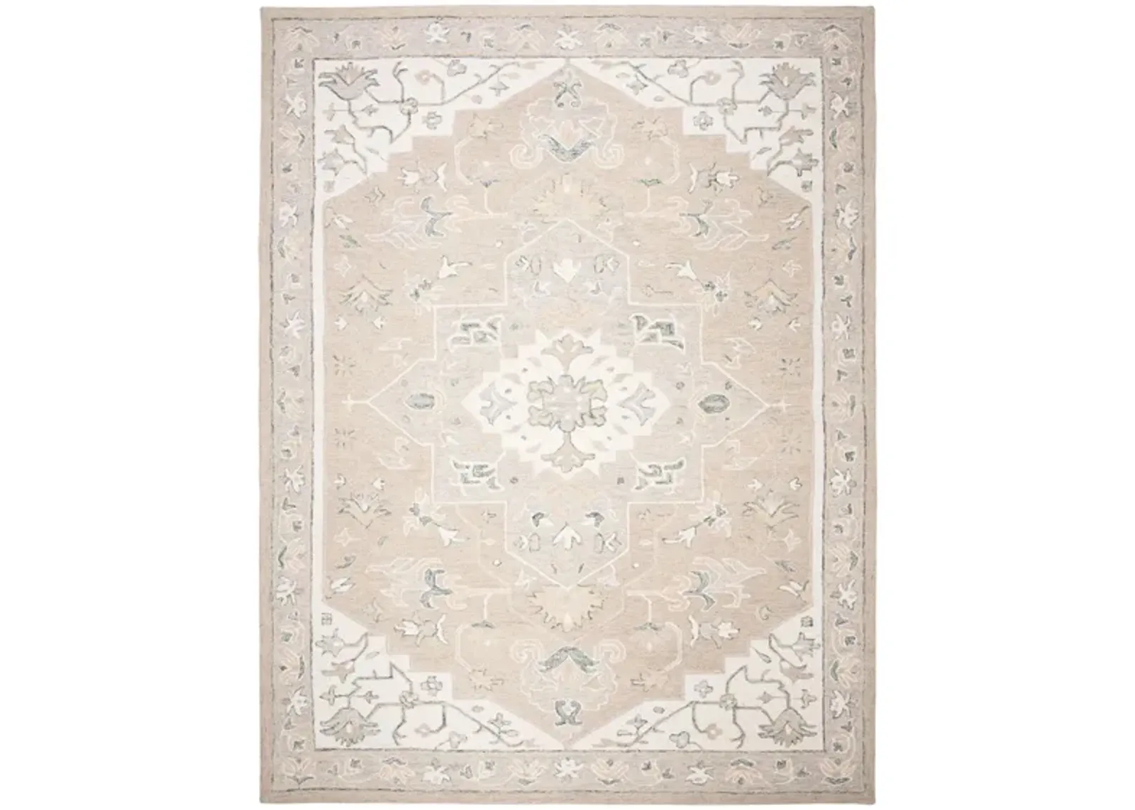 Turbo Area Rug in Light Gray & Ivory by Safavieh