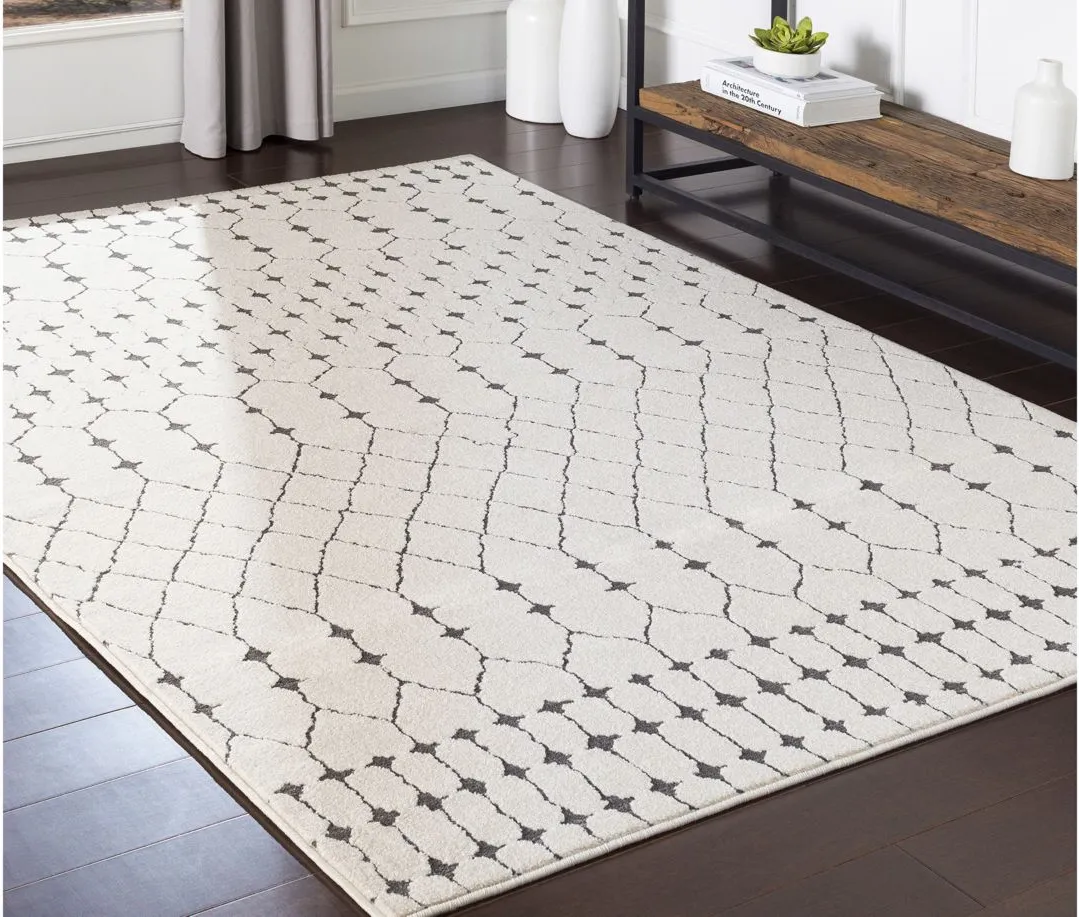 Bahar Area Rug in Charcoal, Beige, Medium Gray by Surya