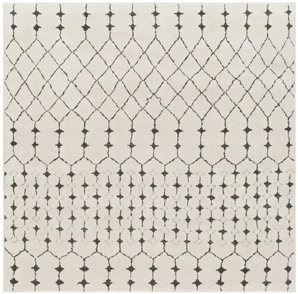 Bahar Area Rug