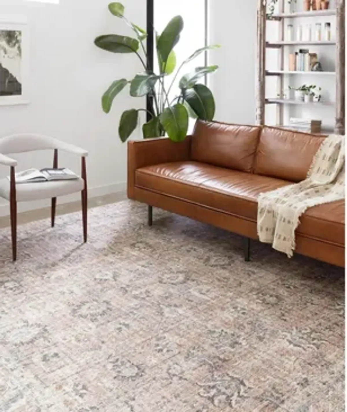 Skye Area Rug