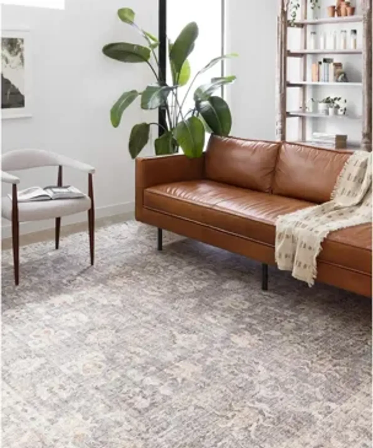 Skye Accent Rug
