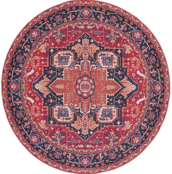 Serapi Area Rug in Red & Blue by Safavieh