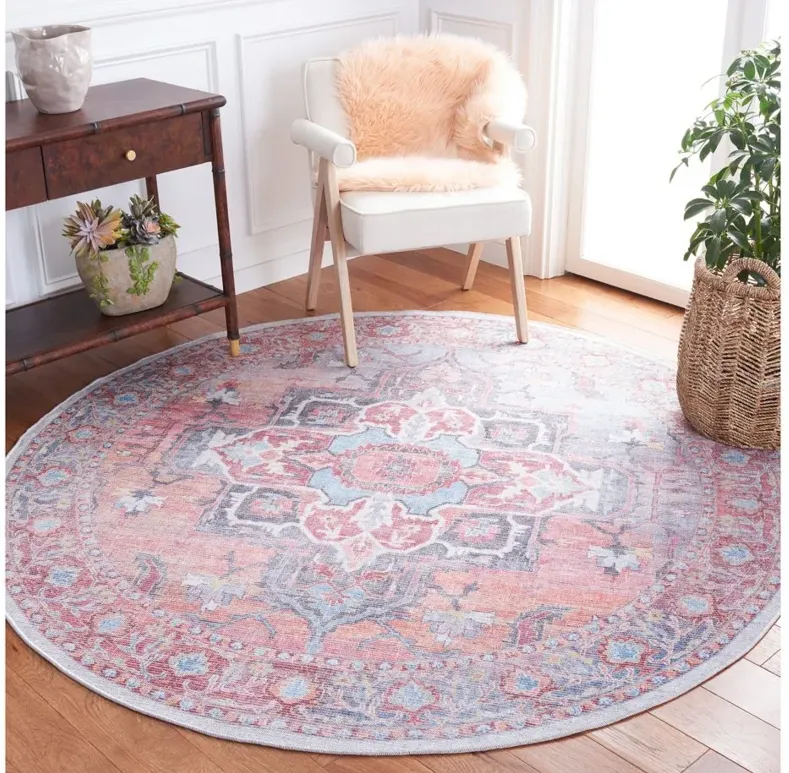 Serapi Area Rug in Rust & Ivory by Safavieh