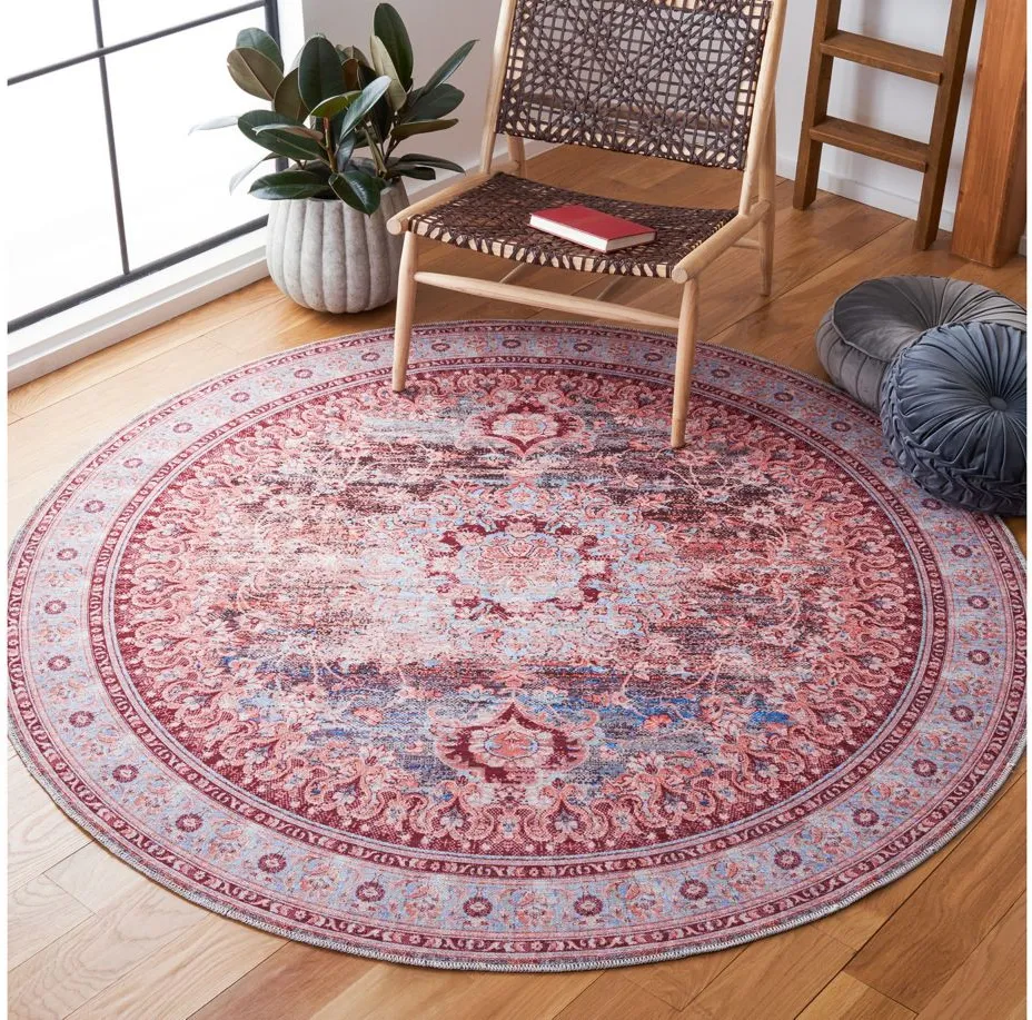 Serapi Area Rug in Light Blue & Red by Safavieh