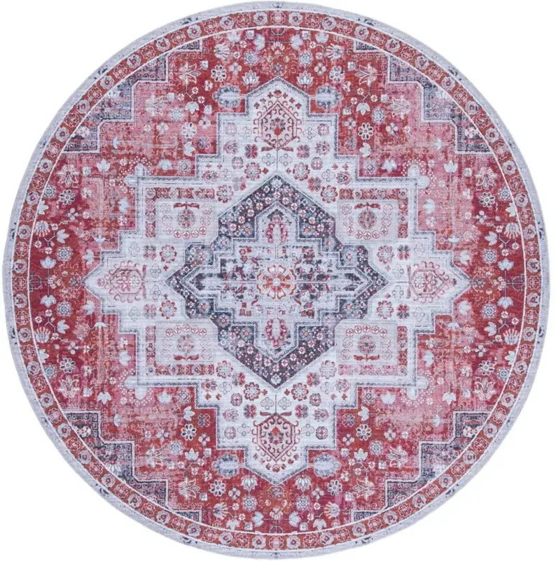 Serapi Area Rug in Rust & Ivory by Safavieh