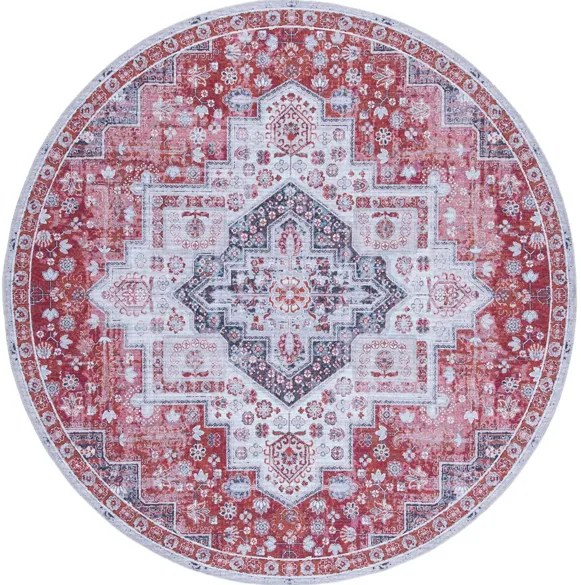 Serapi Area Rug in Rust & Ivory by Safavieh