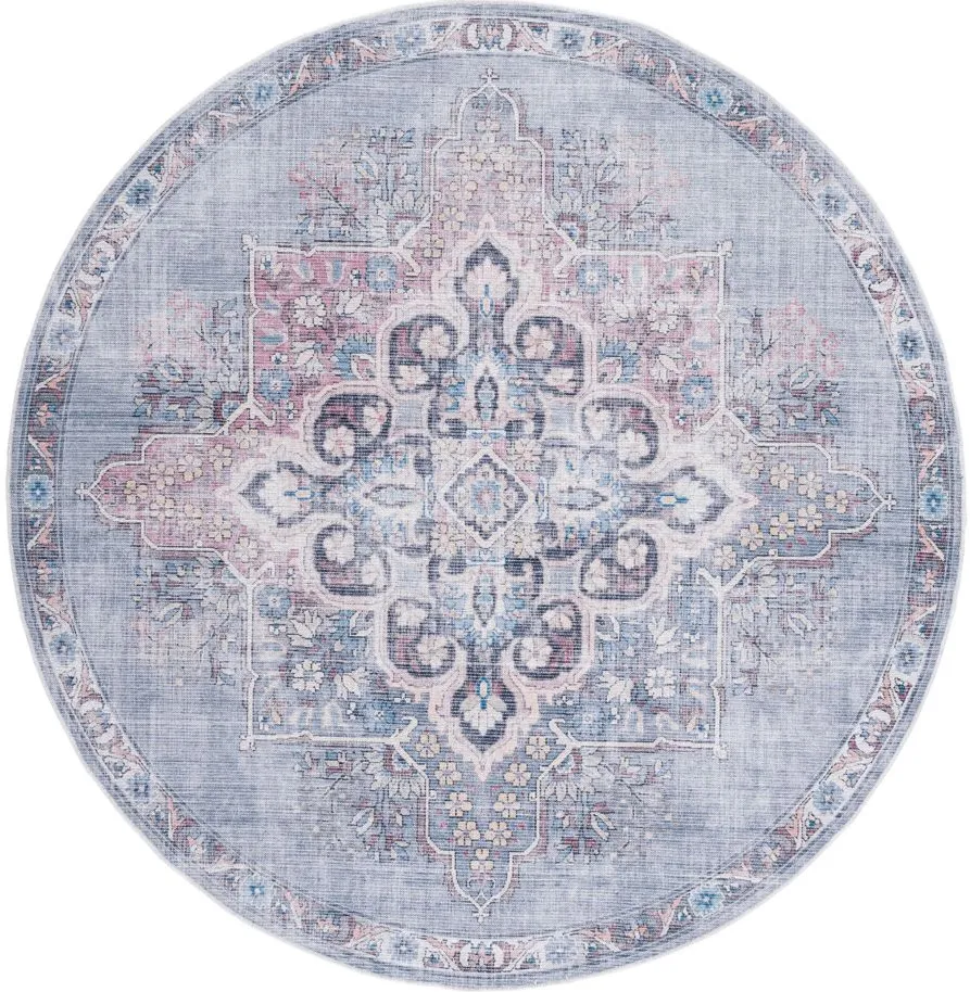 Serapi Area Rug in Ivory & Blue by Safavieh