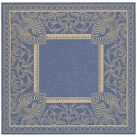 Courtyard Blue Indoor/Outdoor Area Rug in Blue & Natural by Safavieh