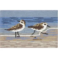 Frontporch Sandpipers Rug in Lake by Trans-Ocean Import Co Inc