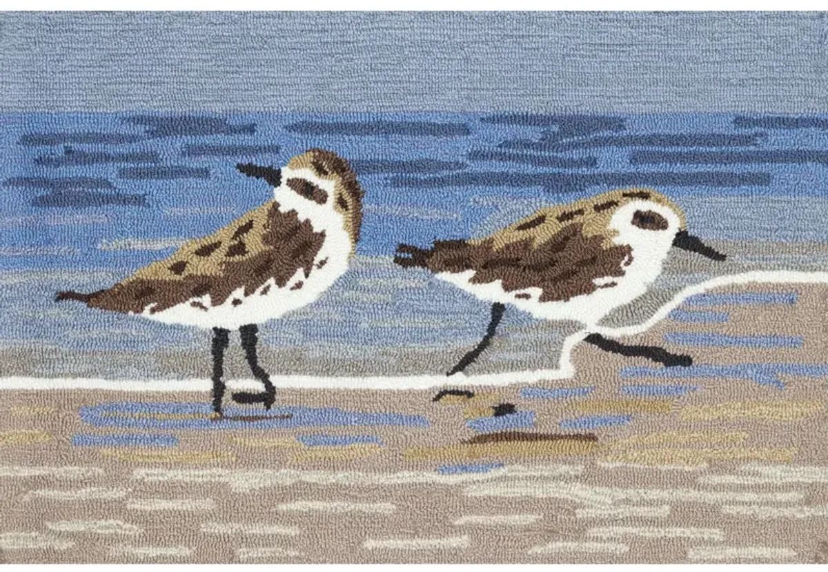 Frontporch Sandpipers Rug in Lake by Trans-Ocean Import Co Inc