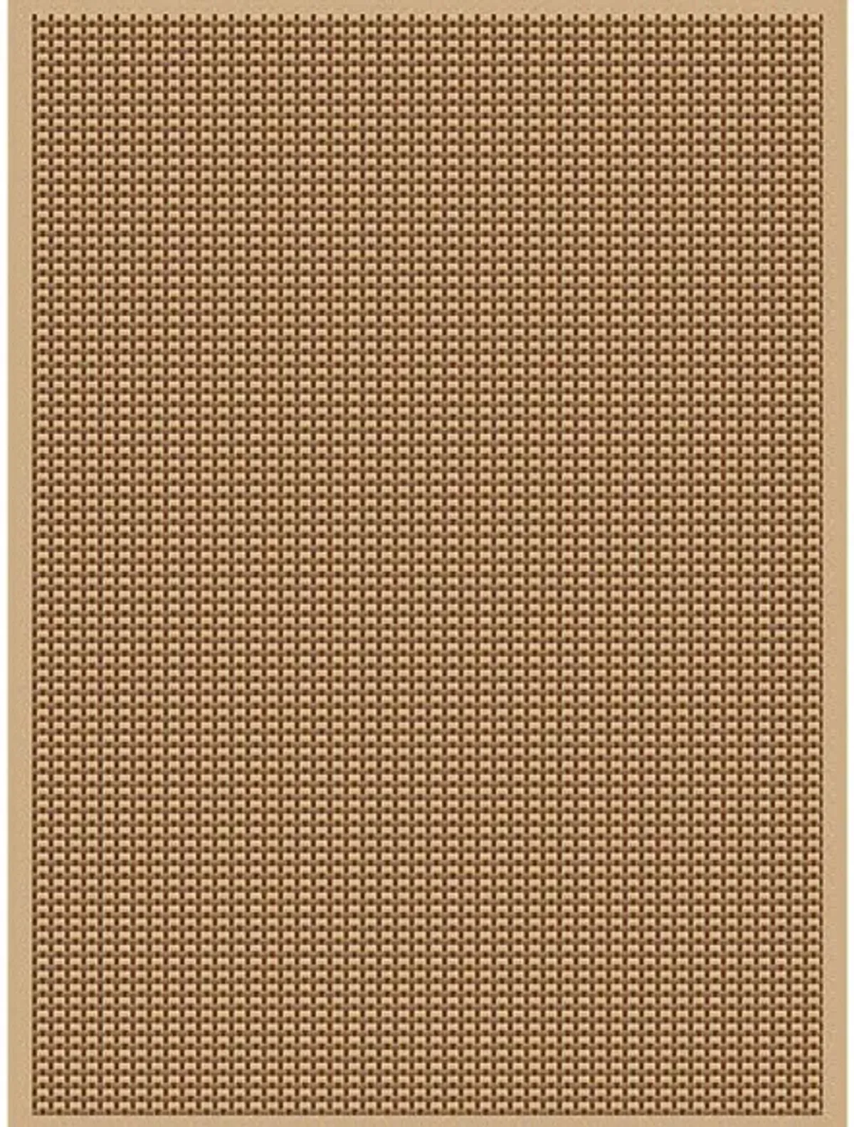 Monterey Basket Indoor/Outdoor Rug in Terracotta;Brown by Trans-Ocean Import Co Inc