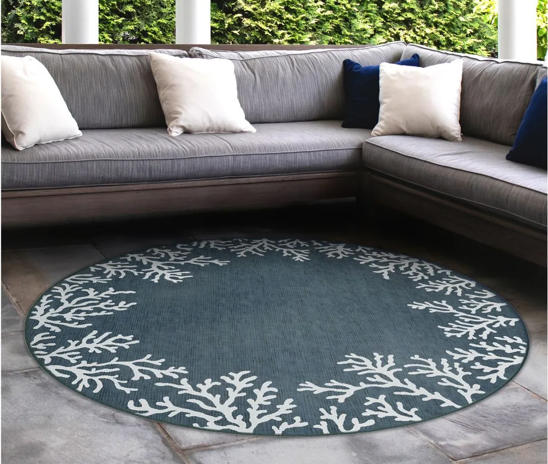 Carmel Coral Border Rug in Navy by Trans-Ocean Import Co Inc