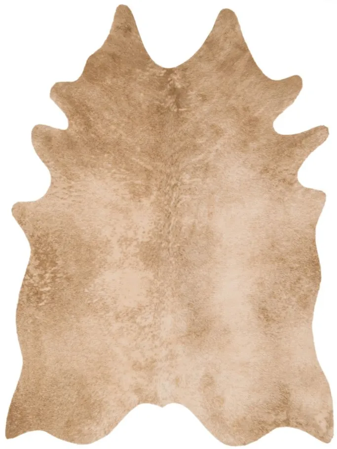 Grand Canyon Accent Rug in Tan by Loloi Rugs