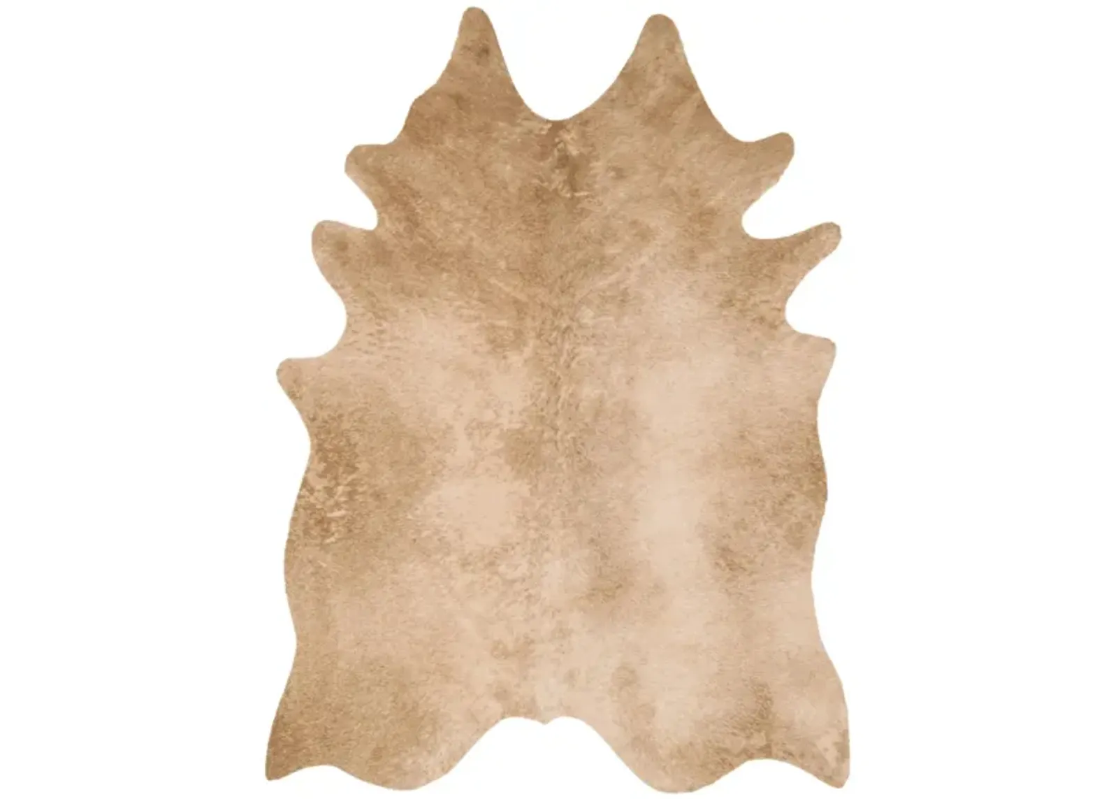 Grand Canyon Accent Rug in Tan by Loloi Rugs