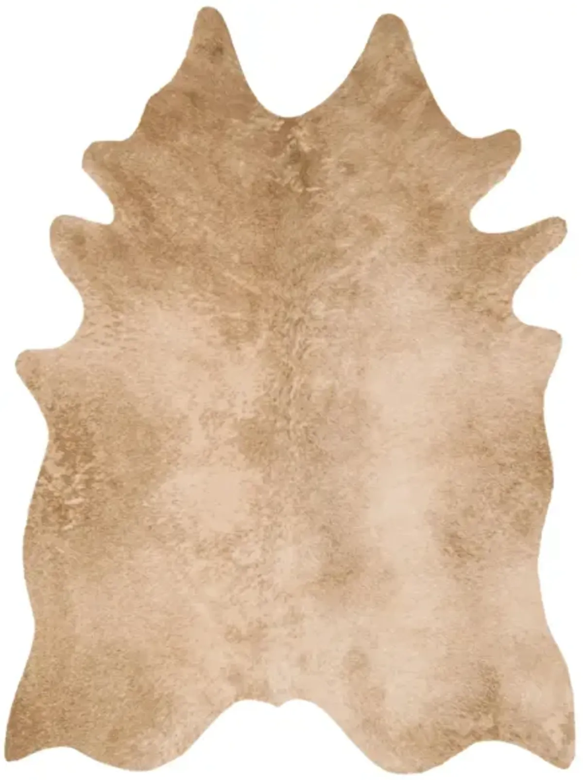 Grand Canyon Accent Rug in Tan by Loloi Rugs