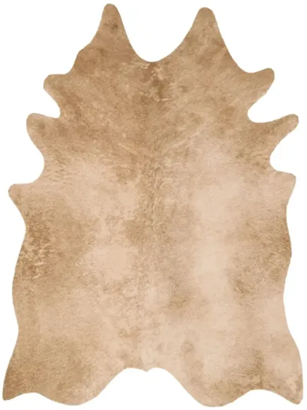 Grand Canyon Accent Rug