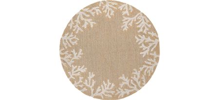 Coral Indoor/Outdoor Area Rug in Neutral by Trans-Ocean Import Co Inc