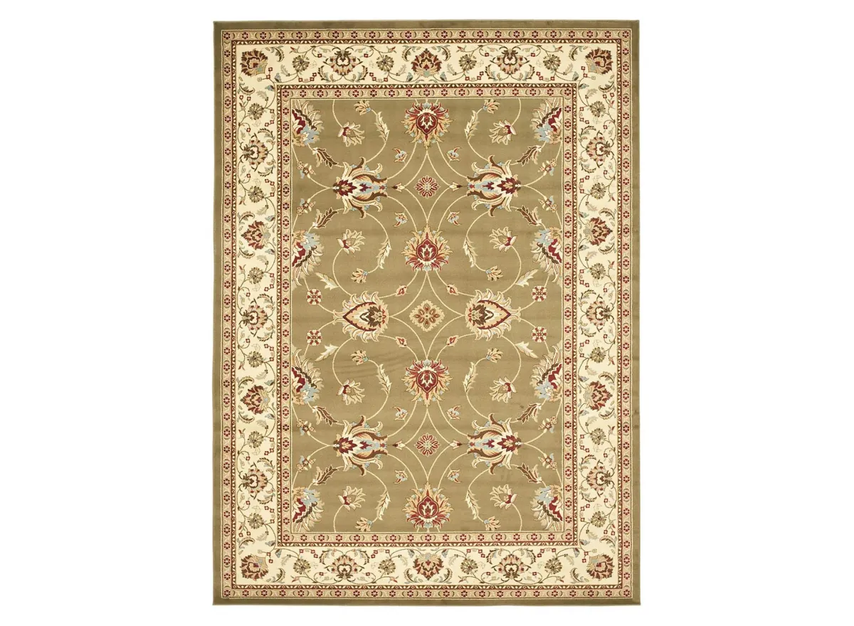 Severn Area Rug in Green / Ivory by Safavieh