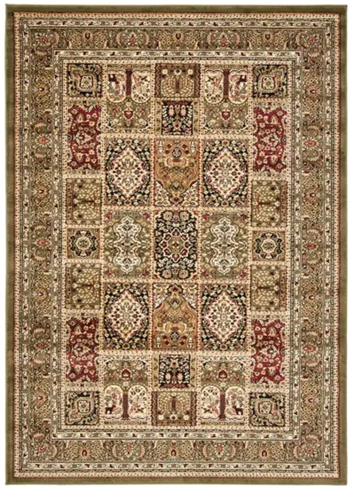 Wight Area Rug in Multi / Green by Safavieh