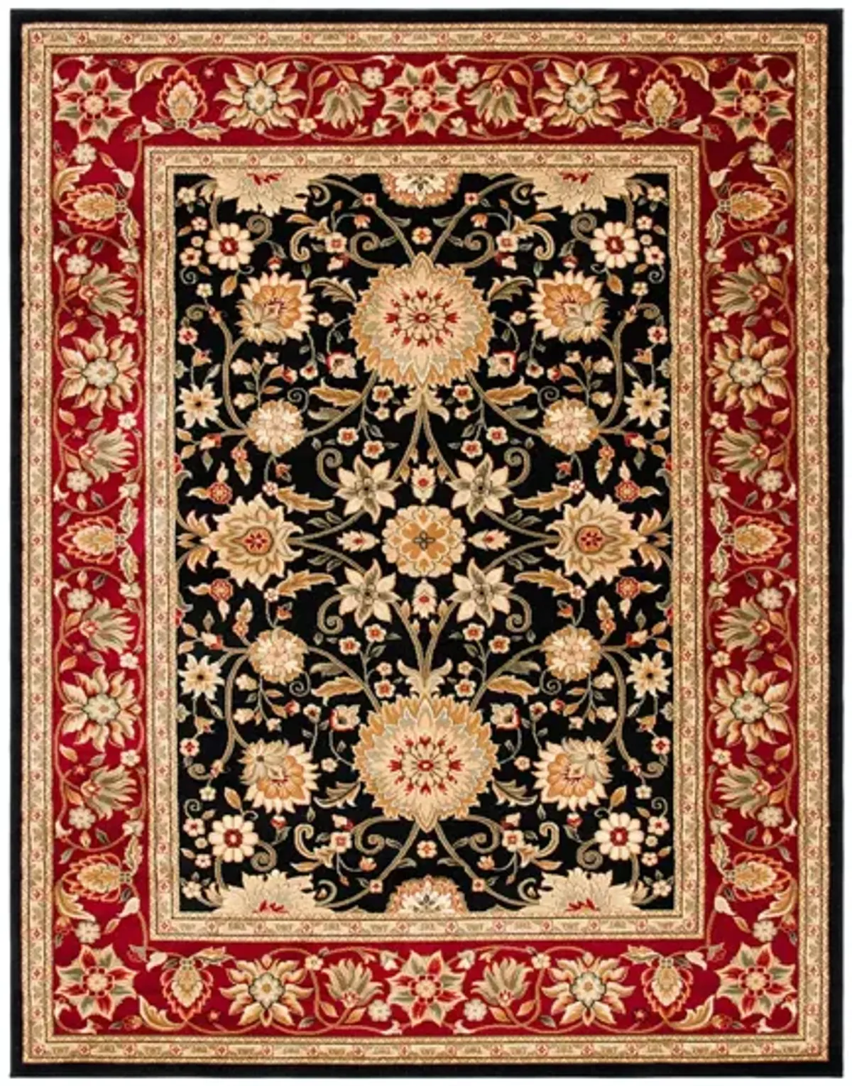 Lyndhurst Area Rug in Black / Red by Safavieh