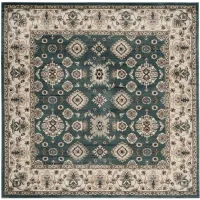 Sussex Area Rug in Teal / Cream by Safavieh