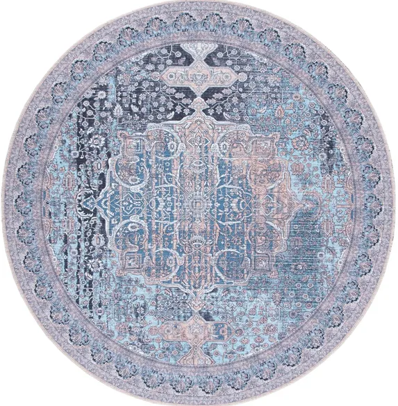 Serapi Area Rug in Ivory & Light Blue by Safavieh