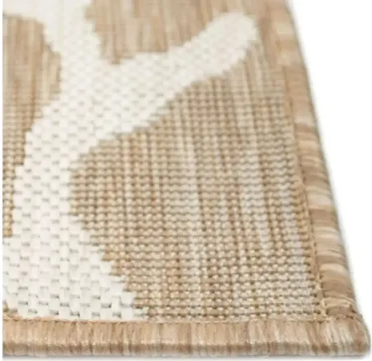 Carmel Coral Border Rug