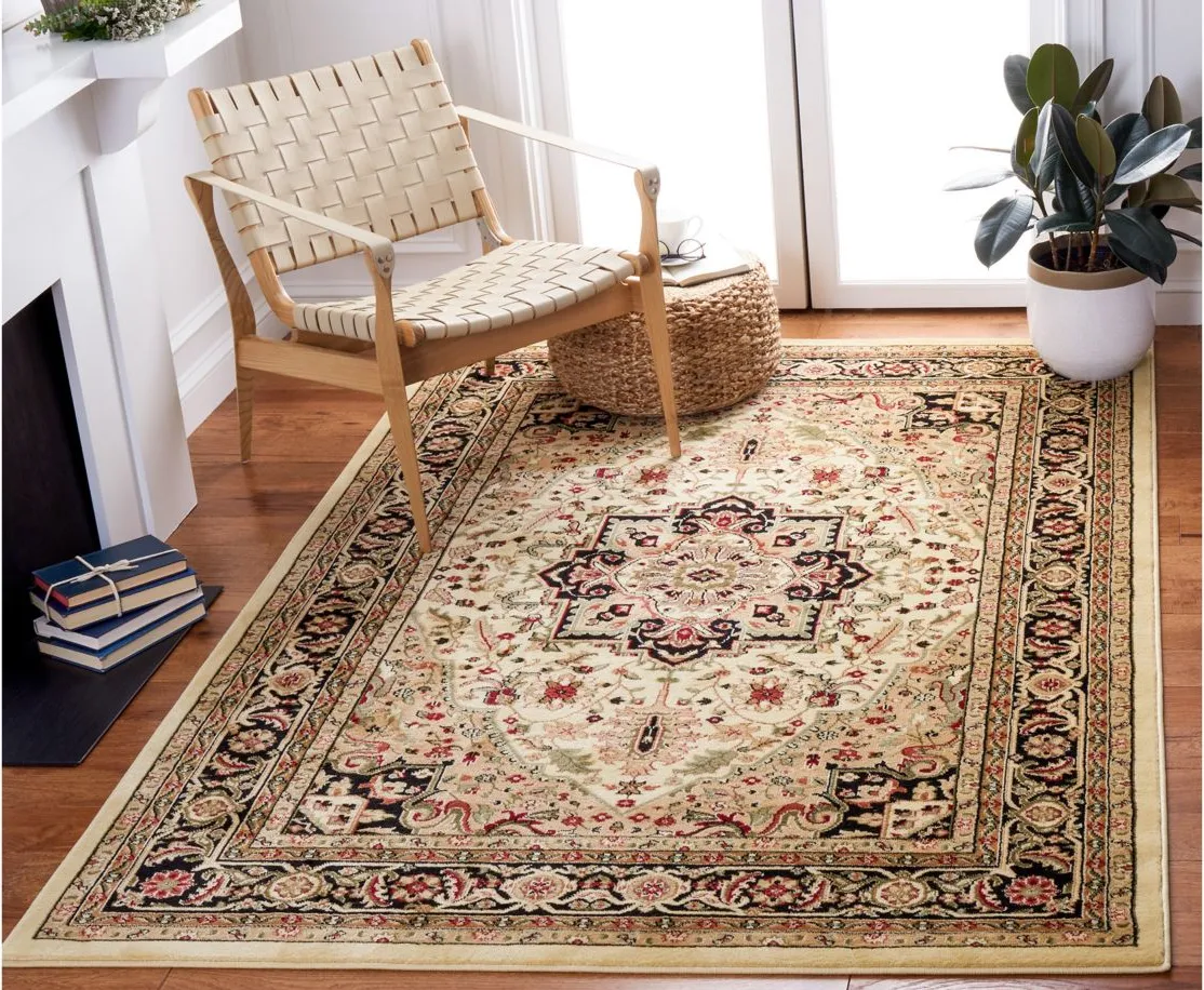 Mercia Area Rug in Beige / Black by Safavieh