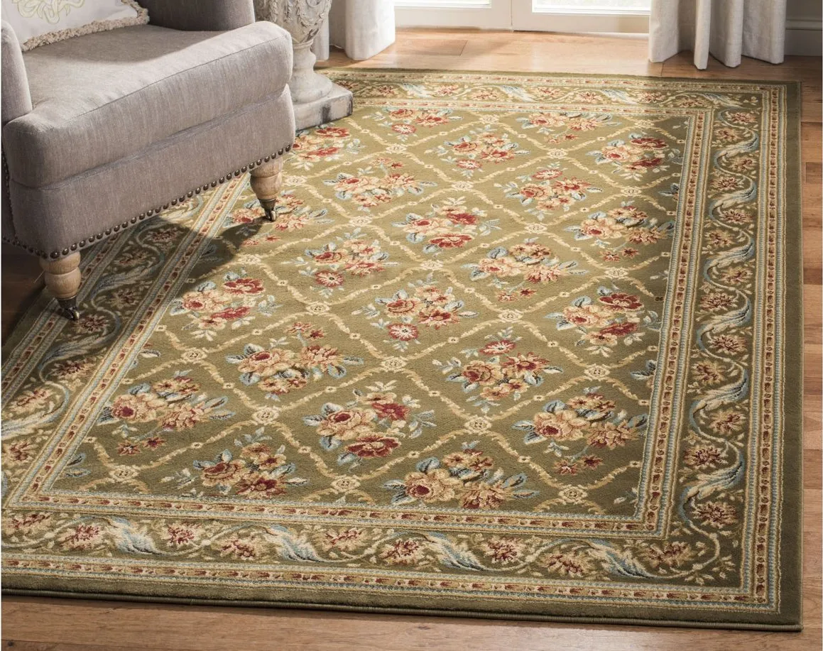 Crown Point Area Rug in Green by Safavieh