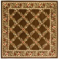 Queensferry Area Rug in Brown by Safavieh