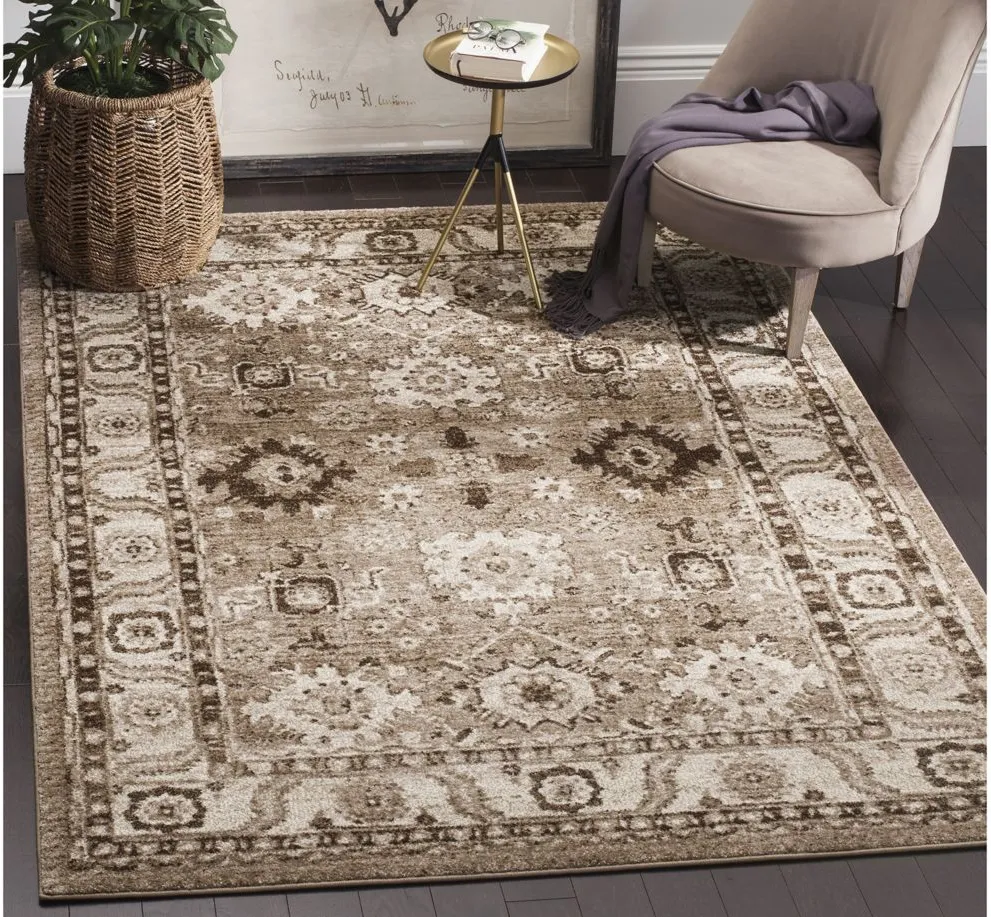 Avicenna Taupe Area Rug in Taupe by Safavieh