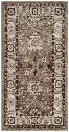 Avicenna Taupe Area Rug in Taupe by Safavieh