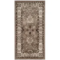 Avicenna Taupe Area Rug in Taupe by Safavieh