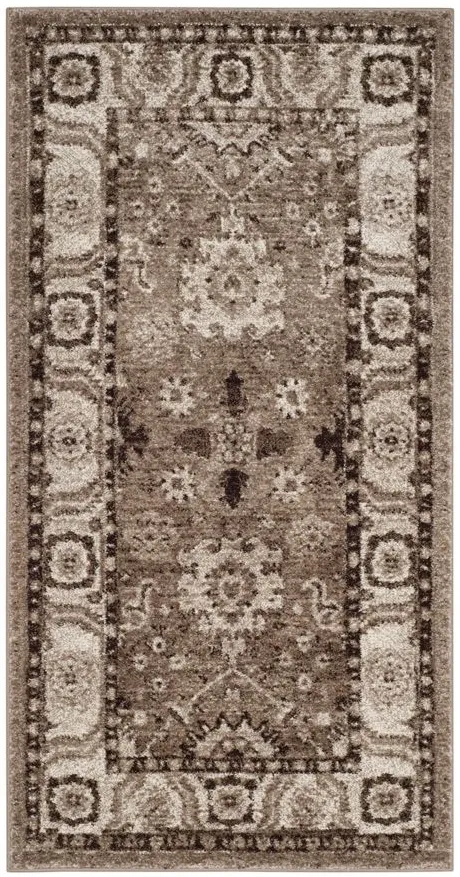 Avicenna Taupe Area Rug in Taupe by Safavieh