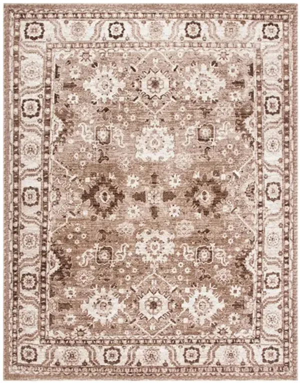 Avicenna Taupe Area Rug