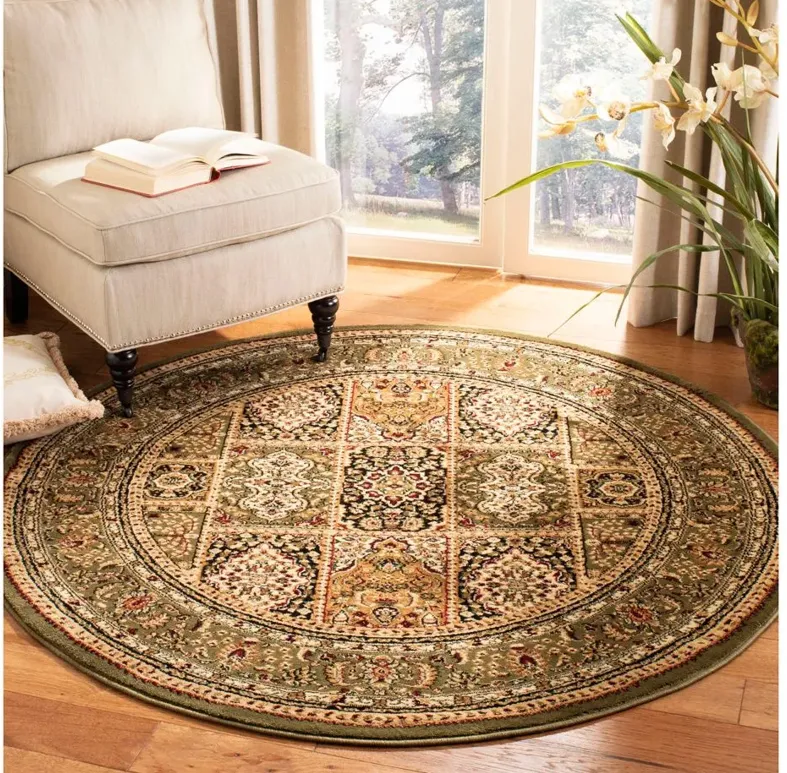 Wight Area Rug in Multi / Green by Safavieh