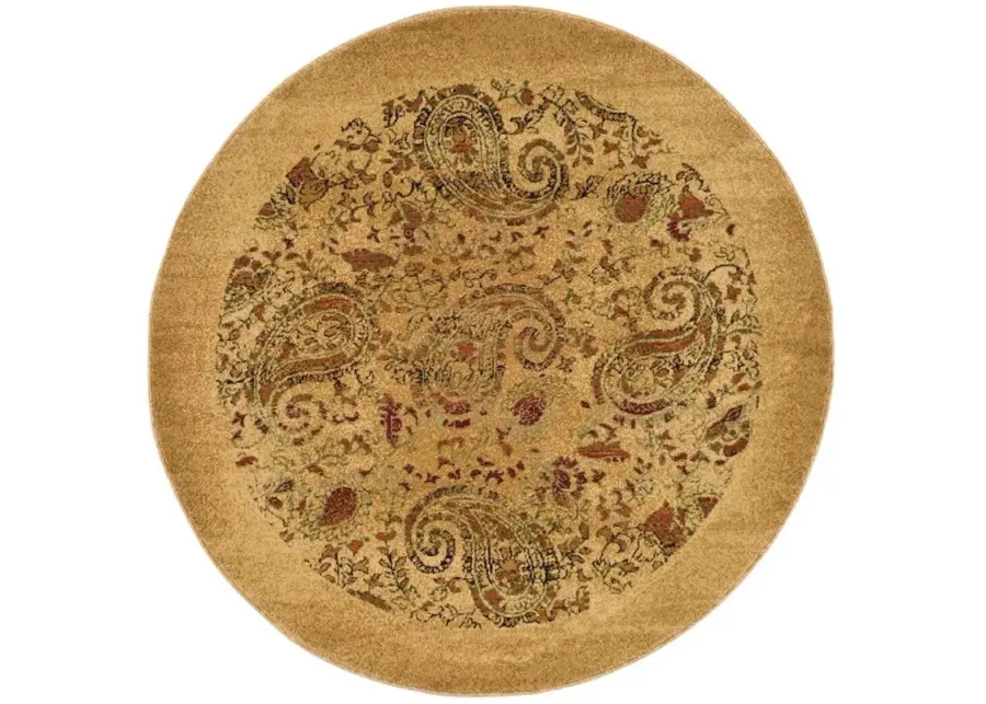 Grimaldi Area Rug Round in Beige / Multi by Safavieh