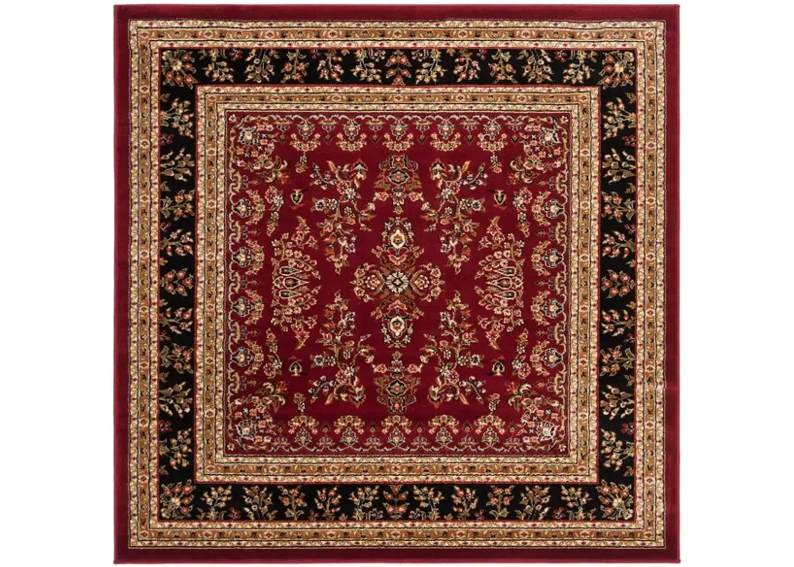 Anglia Area Rug in Red / Black by Safavieh