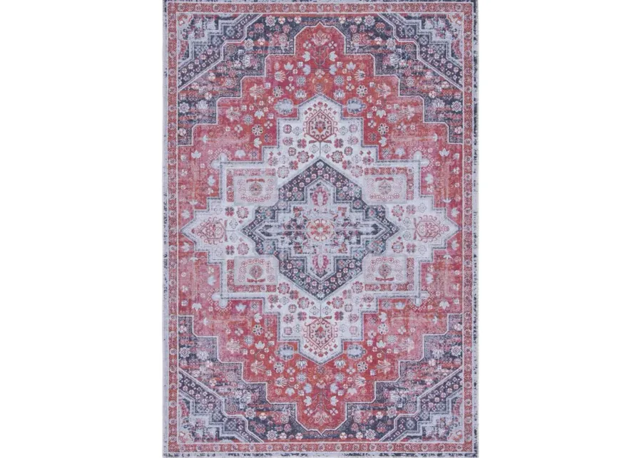 Serapi Area Rug in Rust & Ivory by Safavieh