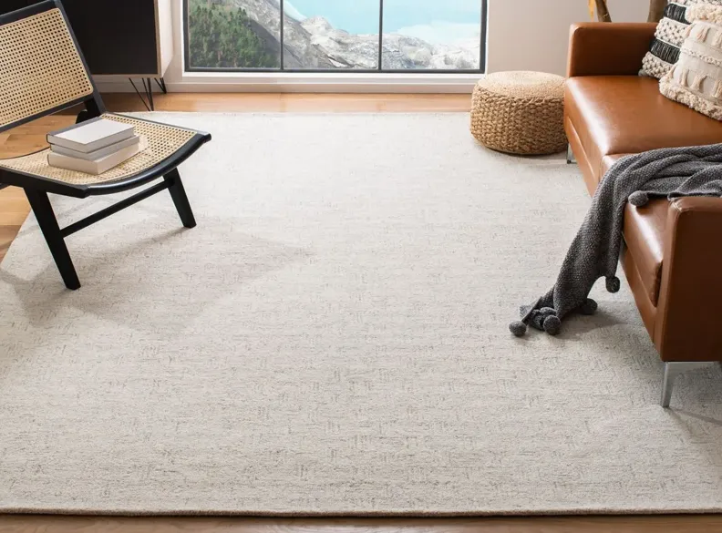 Dynamight Area Rug in Light Gray & Ivory by Safavieh