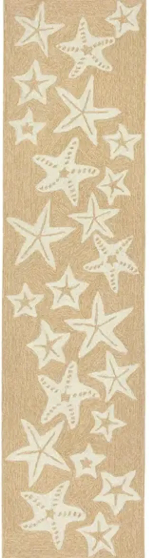 Starfish Indoor/Outdoor Area Rug