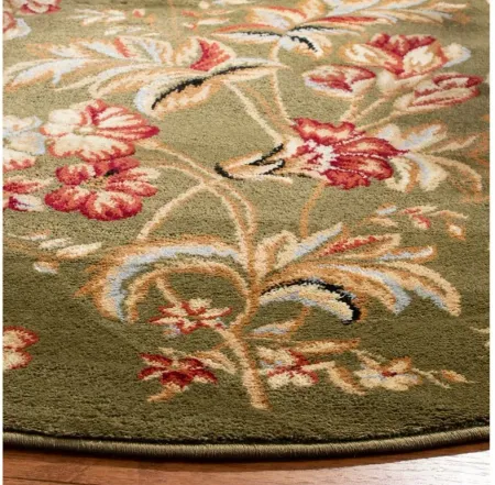 Weymouth Area Rug in Sage by Safavieh