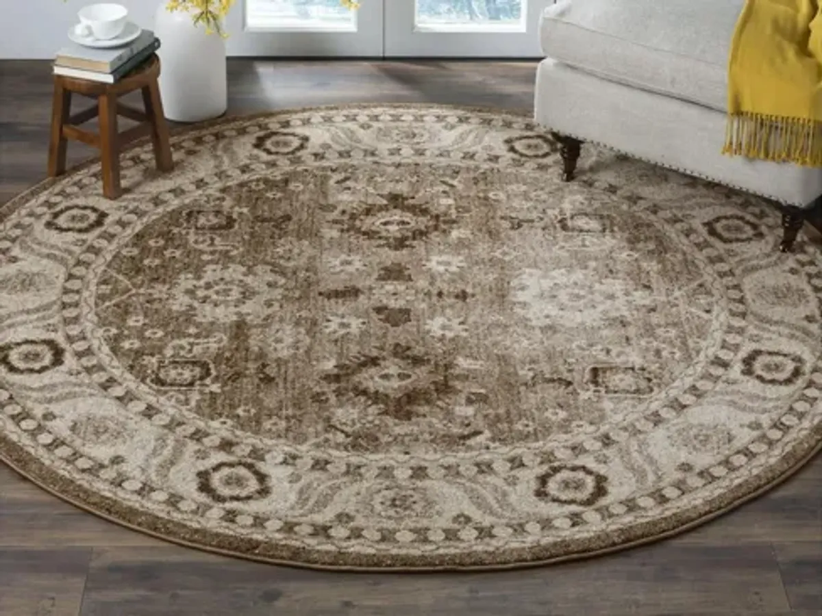 Avicenna Taupe Area Rug Round